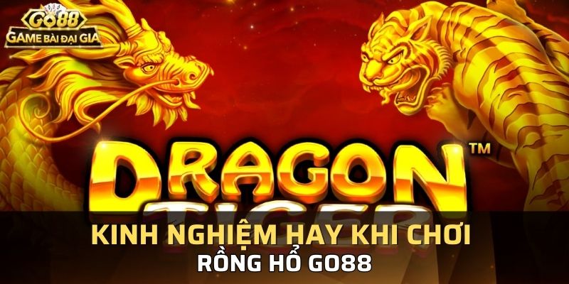 Bật mí bí kíp chơi rồng hổ kubet88 hay