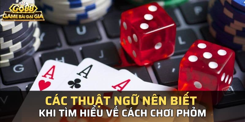 Thuật ngữ dùng trong cách chơi phỏm